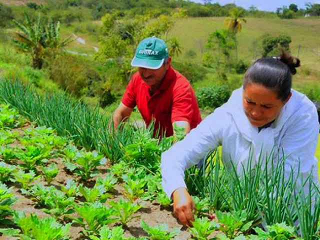 Governo de Pernambuco libera pagamentos de beneficirios do Chapu de Palha