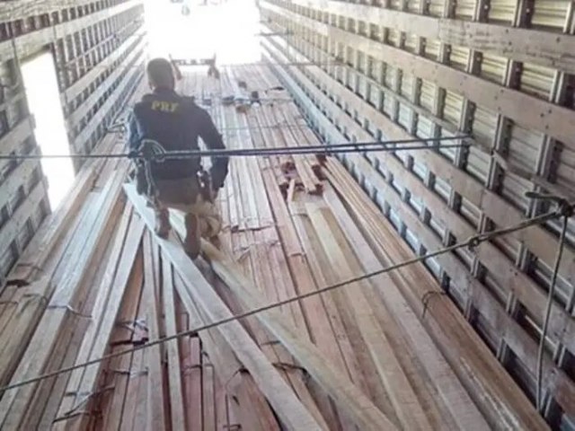 PRF apreende mais de 238 m de madeira irregular no Serto pernambucano