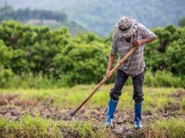 Programa Chapu de Palha tem aumento de 38% no valor da bolsa