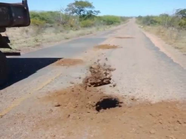 Salgueiro: Cansado de esperar pelo Governo Estadual, morador de Ums realiza tapa-buraco na rodovia que liga o Distrito a BR-232