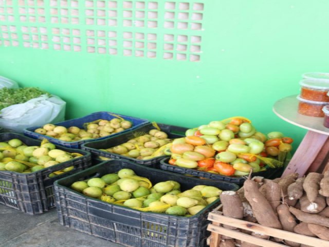 Prefeitura de Bodoc realiza solenidade de lanamento do Programa de Aquisio de Alimentos