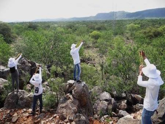 Quilombolas usam estilingues para restaurar caatinga no Serto de Pernambuco