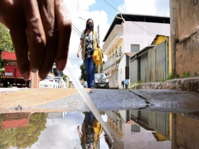 Pernambuco fica fora da primeira etapa da campanha nacional de vacinao contra a dengue