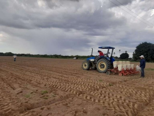 Embrapa e IPA iniciam pesquisas com cultivares nas estaes experimentais do instituto em vrias regies de Pernambuco