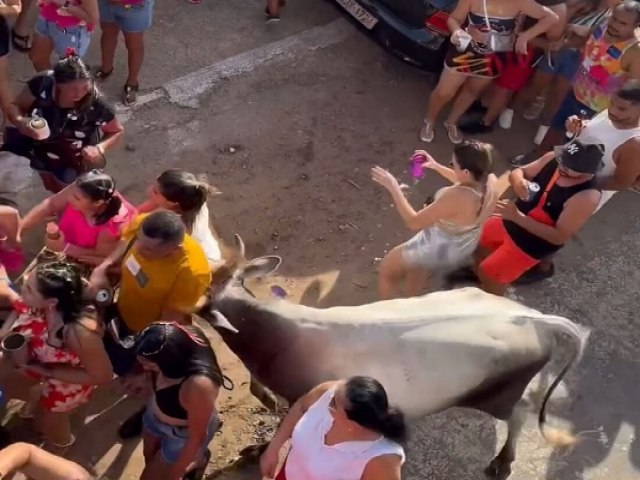 Vaca invade bloco de carnaval no Rio Grande do Norte e deixa pessoas feridas