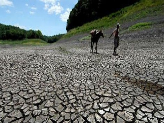 Sudene se une a tribunais de conta estaduais para aperfeioar aes de combate  desertificao no semirido