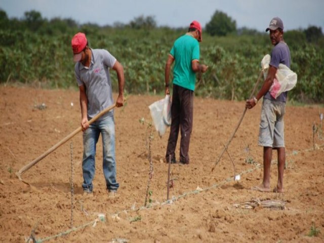 Programa Garantia-Safra paga agricultores do Serto e Agreste em Pernambuco