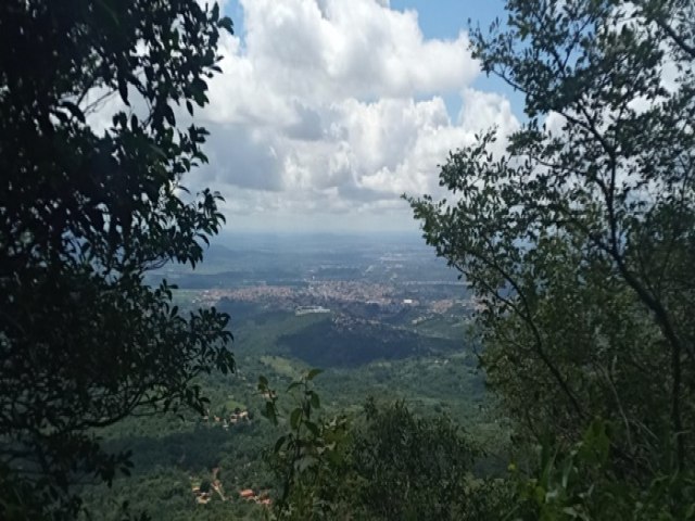 Semirido: Floresta Nacional do Araripe completa 78 anos