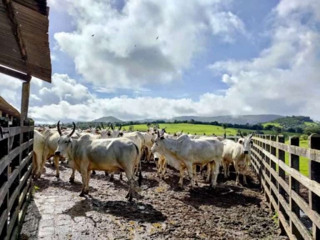 Pernambuco convoca produtores para declarar a vacinao do rebanho contra febre aftosa at 15 de maio