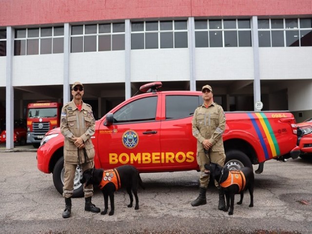 Governo do Estado envia ces para reforar o trabalho dos bombeiros no RS