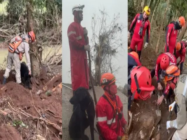 Parte da equipe de Bombeiros de Pernambuco retornou de misso no RS