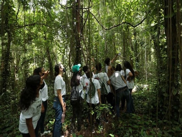 Pernambuco ter programa para plantio de 4 milhes de rvores