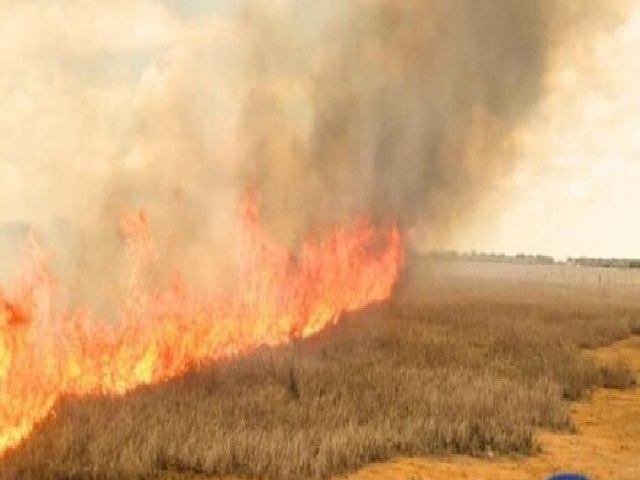 Codevasf e Distrito de Irrigao Nilo Coelho em Petrolina, orientam produtores rurais sobre perigo de queimadas irregulares