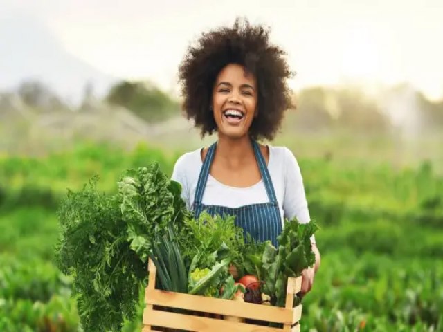 Projetos de agricultura sustentvel em Pernambuco podem concorrer a at R$ 900 mil em chamada pblica