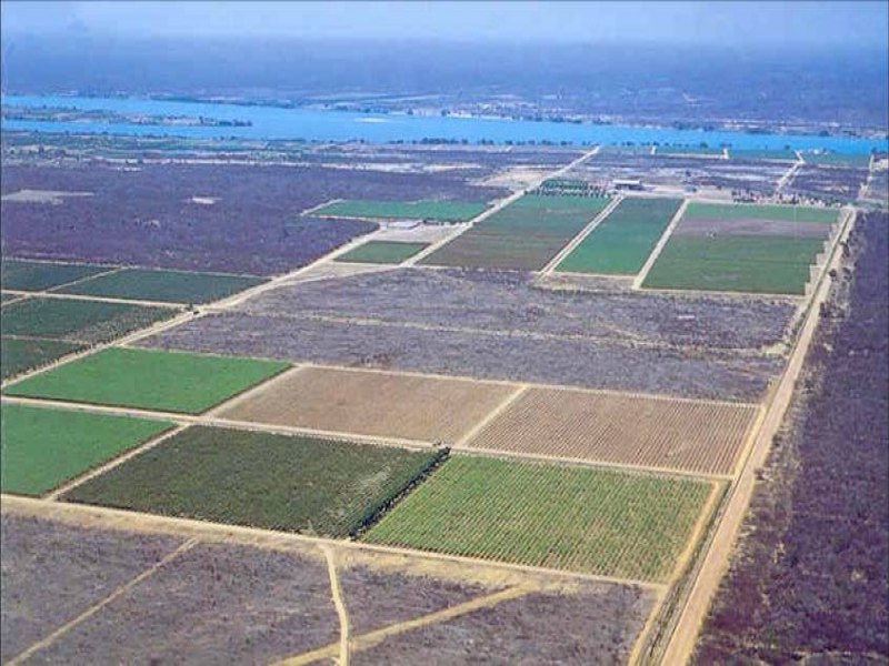 Entidade aponta Nordeste com potencial para irrigar 3,3 milhes de hectares