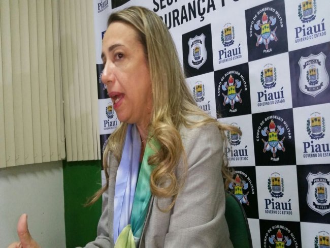 Piauí registrou 265 casos de estupro só este ano; apenas os 'notificados'