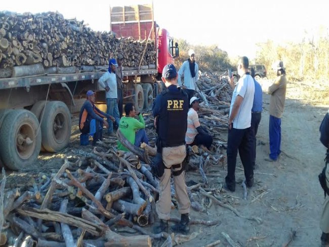 PRF e MPT resgatam trabalhadores em fazenda na região Sul do Estado