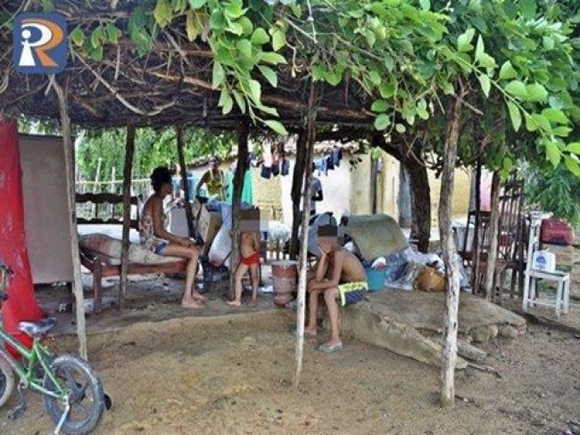 Em Piripiri, família passa a morar debaixo de árvore e pede ajuda