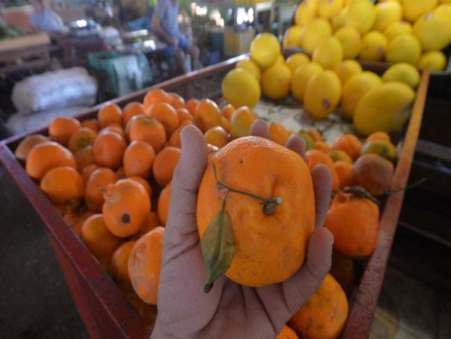 Só 40% dos brasileiros consomem frutas e hortaliças todo dia