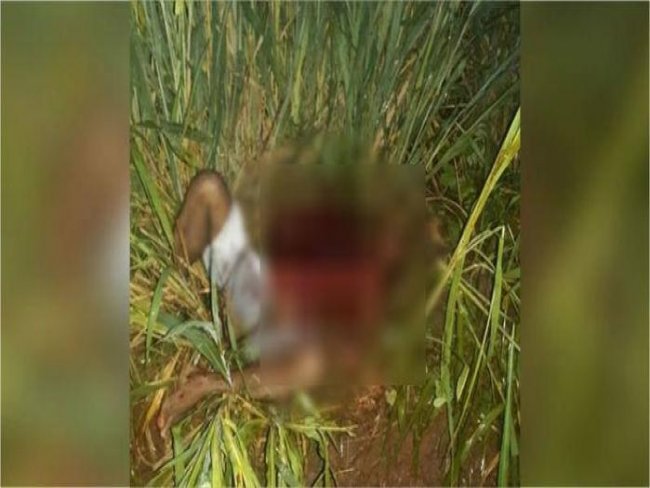 Operário piauiense é morto com 30 facadas no Mato Grosso