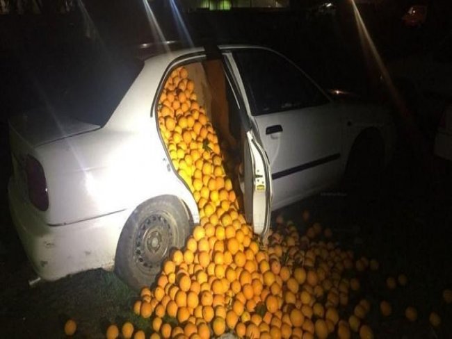 Polícia persegue carros abarrotados de laranja e cinco são presos
