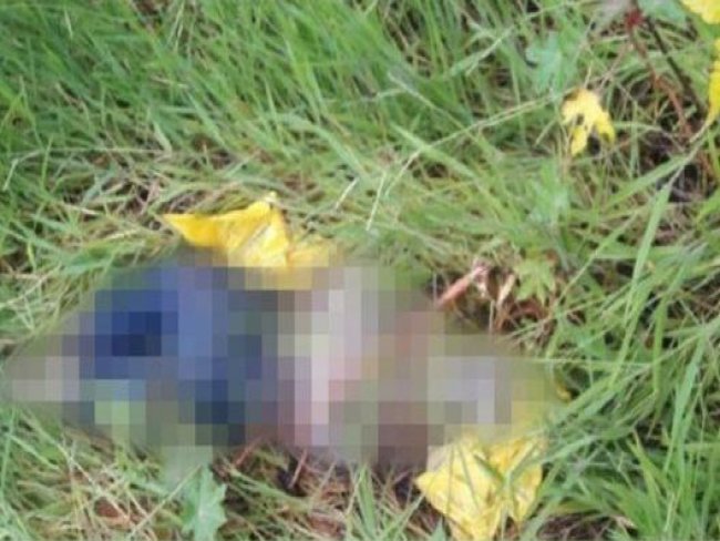 Homem é encontrado morto no município de Barras