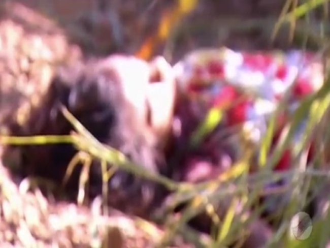 Polícia identifica corpo de mulher encontrada morta em matagal