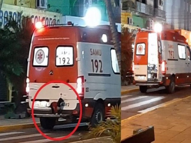  Após passar mal, cão segue dono até hospital na traseira de ambulância