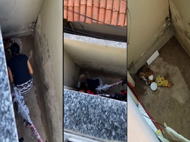 Mulher é filmada por vizinhos agredindo filhote de cachorro em Campo Maior, no Piauí