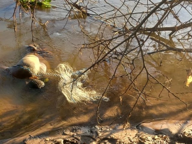 Pescadores acham corpo enroscado em rede de pesca no rio Parnaíba