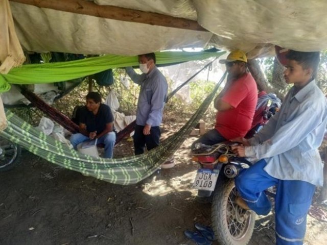 Trabalhadores são resgatados em situação de trabalho escravo no Piauí