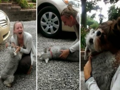 Assista: Cadela desmaia de alegria ao encontrar dona depois de dois anos