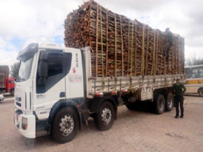 Caminhões são apreendidos no município de Sertânia por transportar lenha além do limite