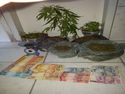Em Inajá Policia apreende maconha cultivada em casa e R$ 852 reais em espécie