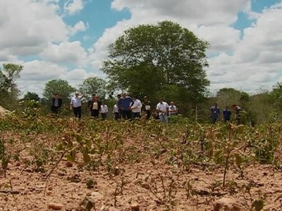 MP investiga suposto desmatamento em 50ha onde será a Feira da Sulanca