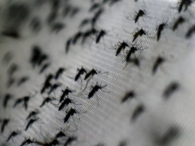 China registra mais de 27 mil casos de dengue
