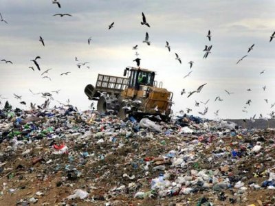 Itaíba, Águas Belas e mais cinco cidades do Estado se comprometem a adotar nova gestão de resíduos sólidos