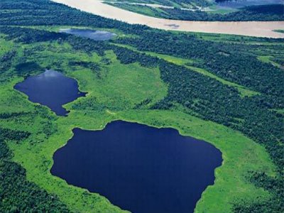 WWF-Brasil: 82% acham que natureza do país não está protegida adequadamente