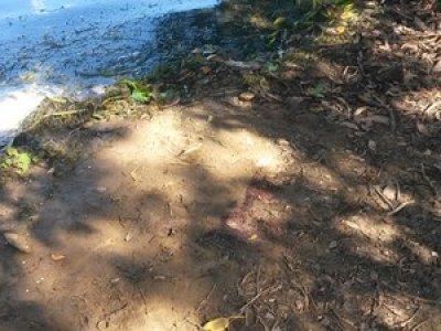 Corpo sem identificação é achado às margens do Rio São Francisco