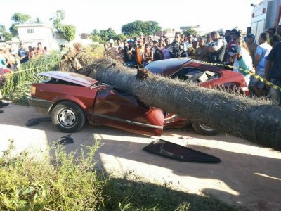 Árvore cai sobre carro e mata turista em PE, dizem bombeiros de Alagoas