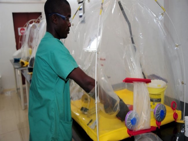 Ebola: ONG pede ao Banco Mundial recursos para países atingidos
