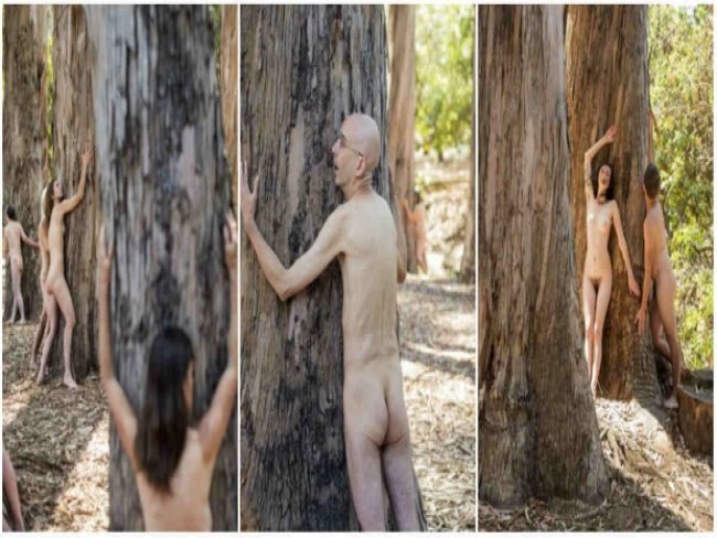 Ativistas protestam nus contra a derrubada de árvores nos EUA