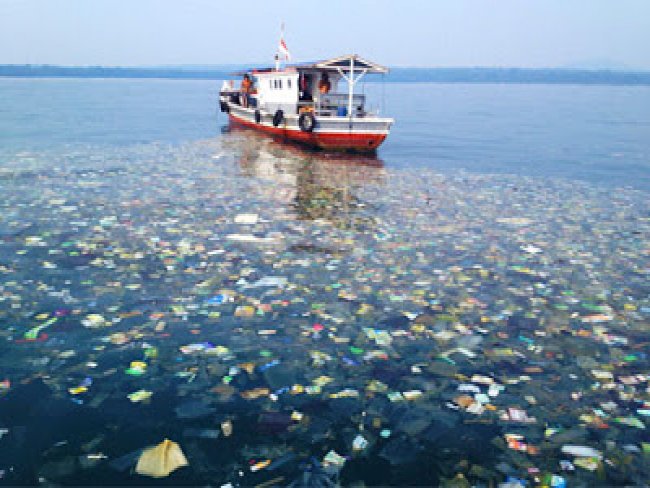 Oceanos vão ter mais plástico do que peixes em 2050, alerta Fórum de Davos