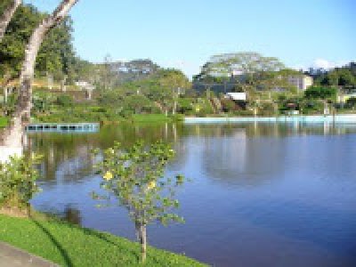 MAIS DE 500 CASOS DE SFILIS NA BAHIA. GANDU NA LISTA.