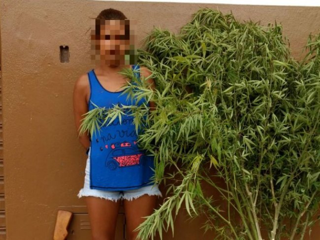 Mulher  detida com ps de maconha e solta aps culpar marido pela droga