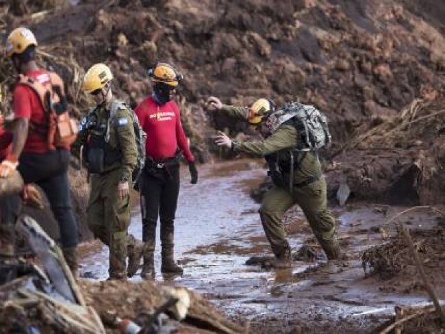 Nmero de mortos em Brumadinho chega a 84; 276 continuam desaparecidos