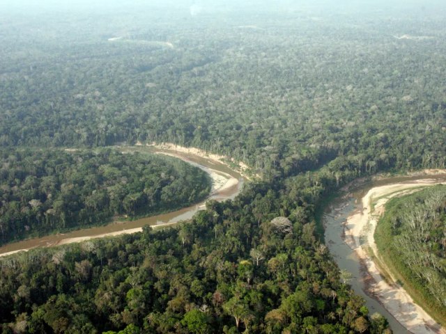 Desmatamento na Reserva Chico Mendes reduziu 71% em um ano, aponta levantamento