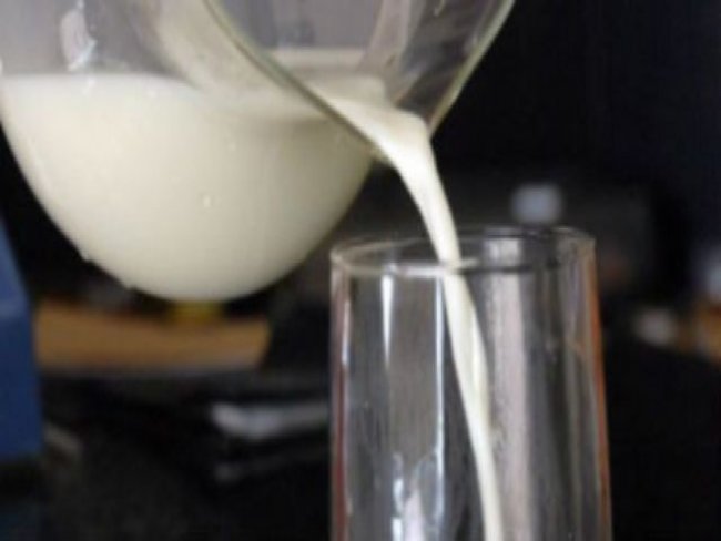 Percia comprova presena de urina e bactria em leite produzido no Agreste