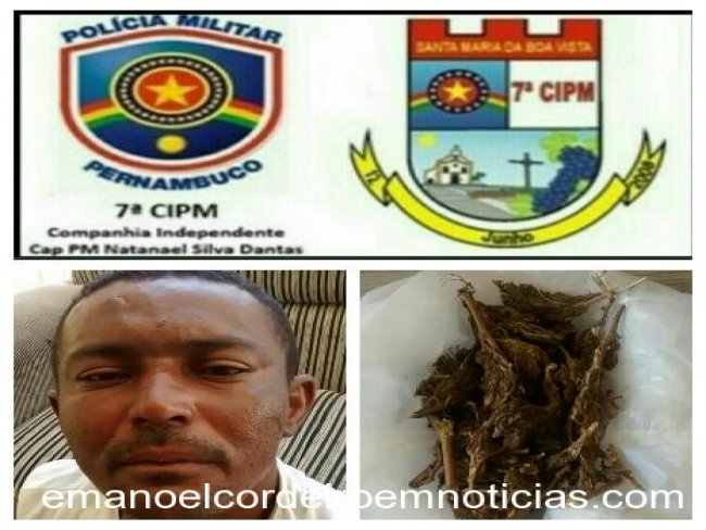 Homem  preso com maconha na feira-livre de Lagoa Grande-PE