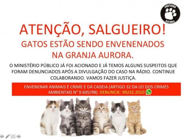 Em Salgueiro moradores do bairro Granja Aurora denunciam envenenamento de gatos